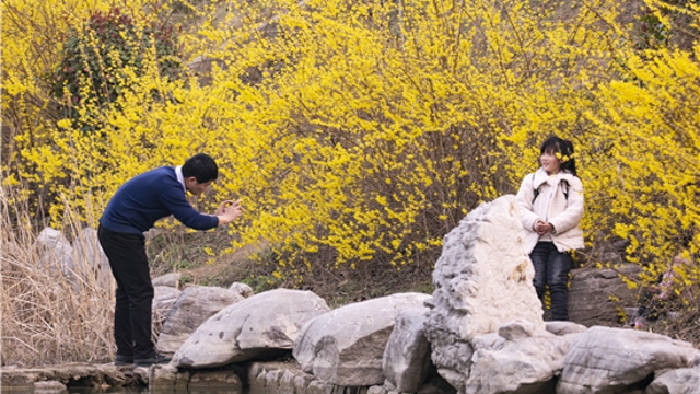 周口公園：柳綠桃紅醉游人